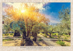 Biblical Calendar - Biblical Lands of Israel